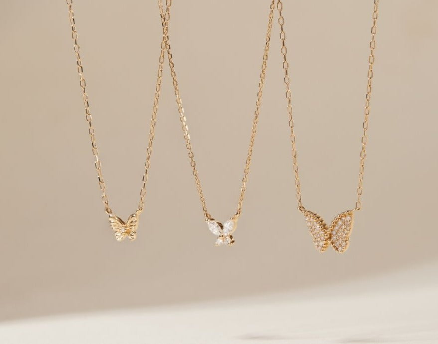 קולקציית פרפרים