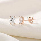 עגיל רוזגולד אליפסה גדולה